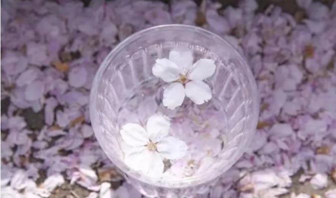 1705647168725815.jpg 无锡商业职业技术学院16.jpg