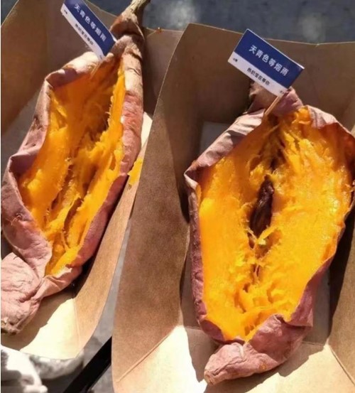 1705647284520694.jpg 无锡商业职业技术学院27_副本.jpg