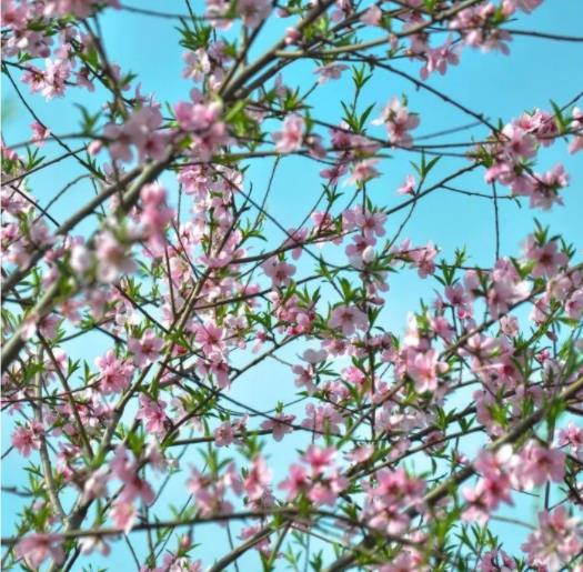 南京科技职业学院 | 校园万花筒，一起置身多彩Space！