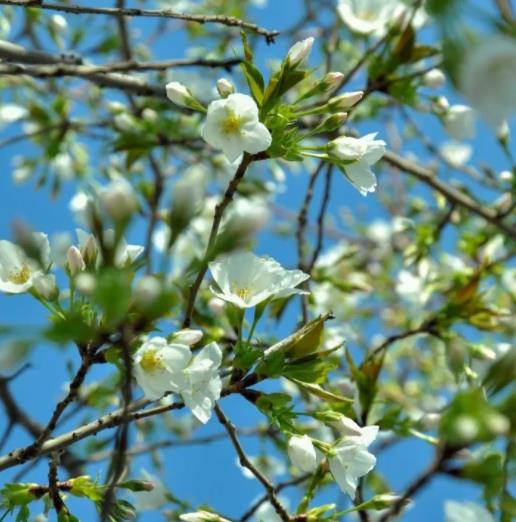 1705655026583068.jpg 南京科技职业学院4.jpg