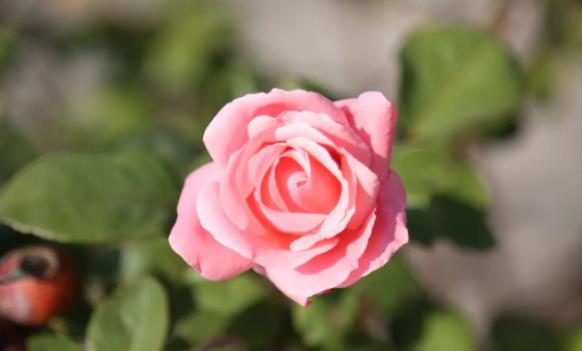 1705655158580088.jpg 南京科技职业学院15.jpg