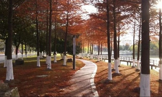 1705907348466233.jpg 南京交通职业技术学院几何之美8_副本.jpg