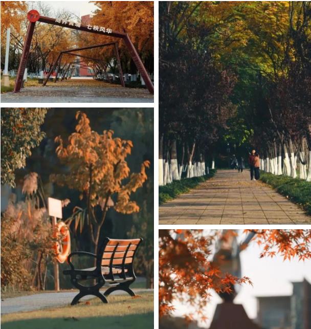 1705911963819037.jpg 经贸,一个有“风”的地方11.jpg