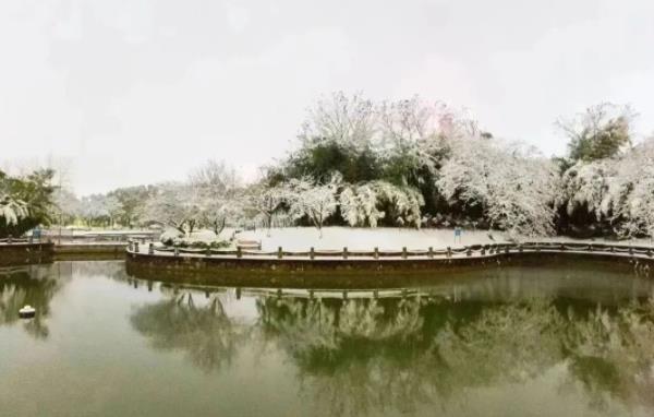 1705911968156162.jpg 经贸,一个有“风”的地方12.jpg