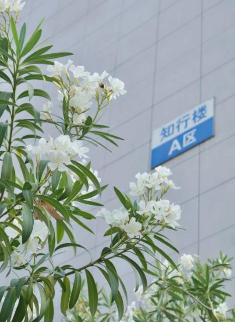 叮！快来Get扬职大的校园专属手机壁纸！