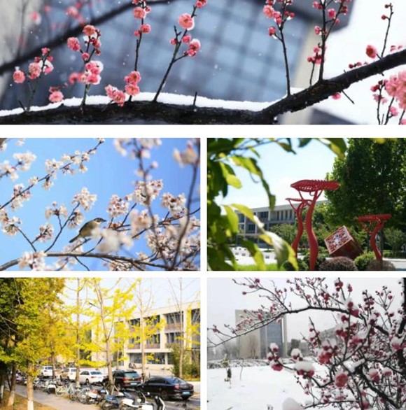 那些隐藏在泰职院校园的“数字” ，等你来解锁！9_副本.jpg