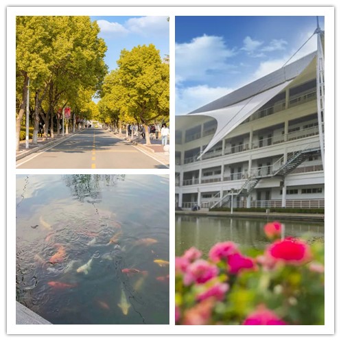 1707207975599232.jpg 你的包裹到啦!在无锡科技职业学院可领取这些包裹!11_副本.jpg