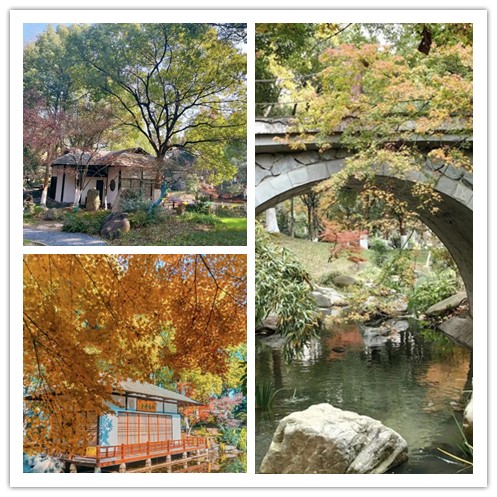 1707207983545354.jpg 你的包裹到啦!在无锡科技职业学院可领取这些包裹!14_副本.jpg