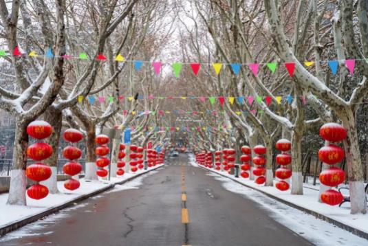 雪落苏建院，盼春归也盼你归