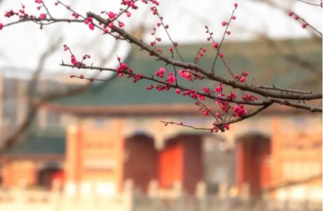 上海交通大学新增2个本科专业！今年起招生！