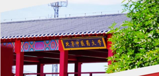 北京中医药大学2024年高考综合改革省份本科招生专业选考科目