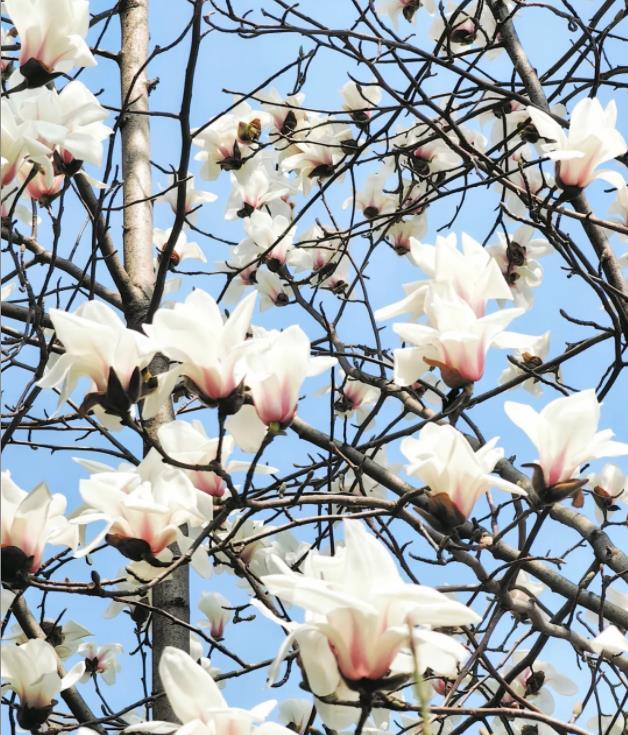 1715738509593302.jpg 写给苏卫的一封充满爱的情书9.jpg