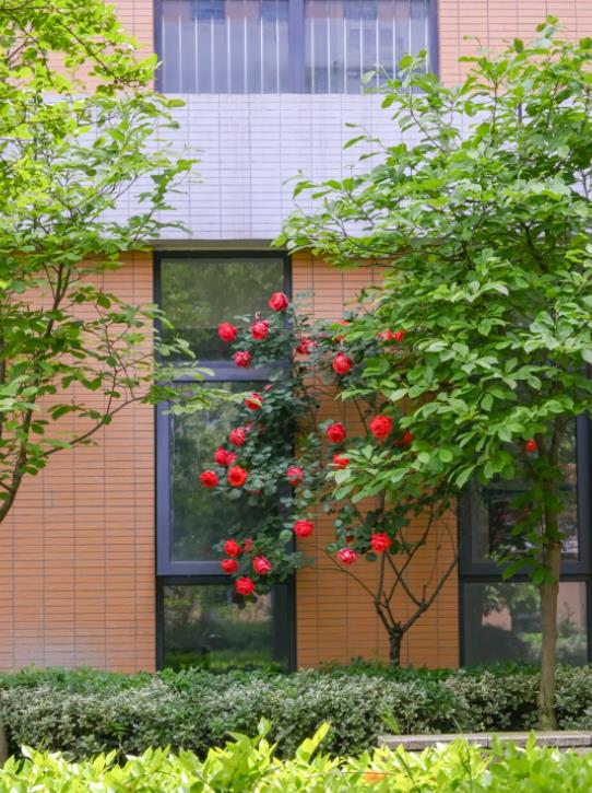 1716176202963904.jpg 无锡学院2.jpg