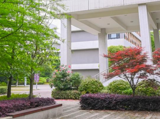 1716176561707773.jpg 点击放大锡院的美.jpg