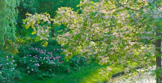 江苏卫生健康职业学院的夏天，来啦！