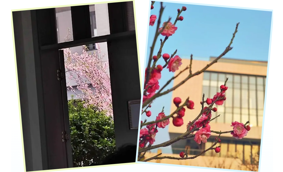 1716947451561509.png @3V2II1Y1$QWNEAHVM4XUXK.png