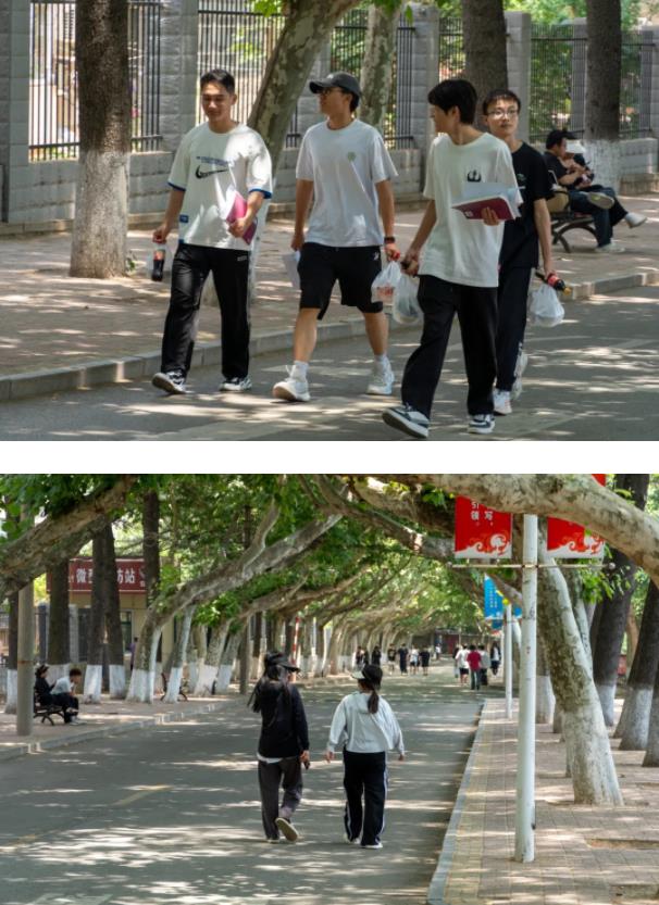 初夏随风而至，苏建院阳光正好！3.jpg