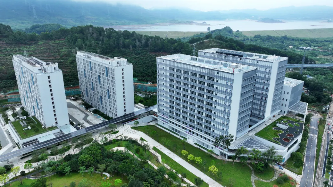 教育部正式批复设立深圳理工大学！