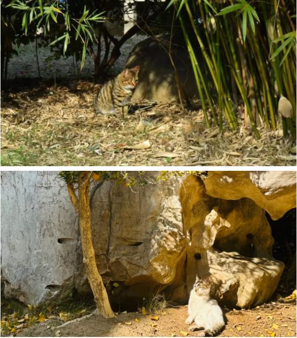 来江苏航运学院 感受航院20分钟效应！6.jpg