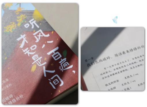 心动瞬间！在苏卫寻找你的crush9.jpg