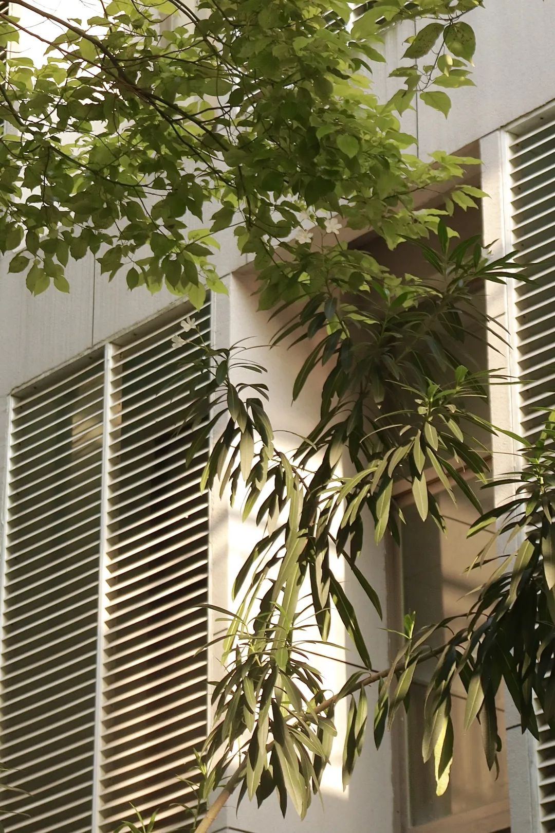 快来开启你的专属：扬州市职业大学“20分钟效应”吧