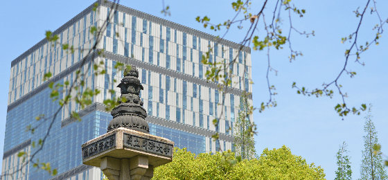 985大学，南下！