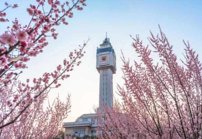 南京工业大学2024年招生问答来了！你关心这里都有解答！
