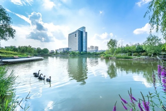 徐州工程学院7.webp_副本.jpg