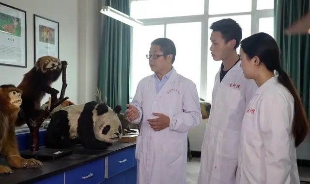 全国首个！师范大学大熊猫学院，将迎首批本科生.jpg