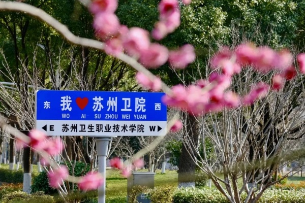 探寻苏卫校园中的“镜”