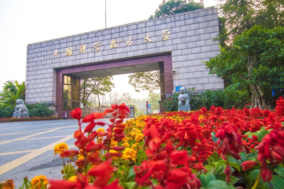 2024位新生！中国科学技术大学2024级本科新生大数据出炉！