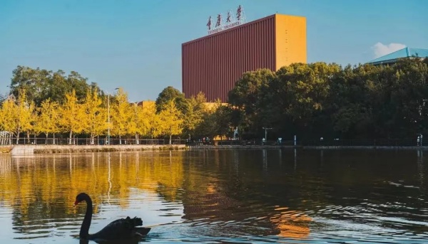 重庆大学弘深学院2024年二次选拔申请指南