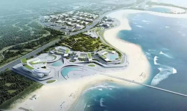 1728549818633721.jpg 北京航空航天大学与青岛市人民政府深化合作2.jpg