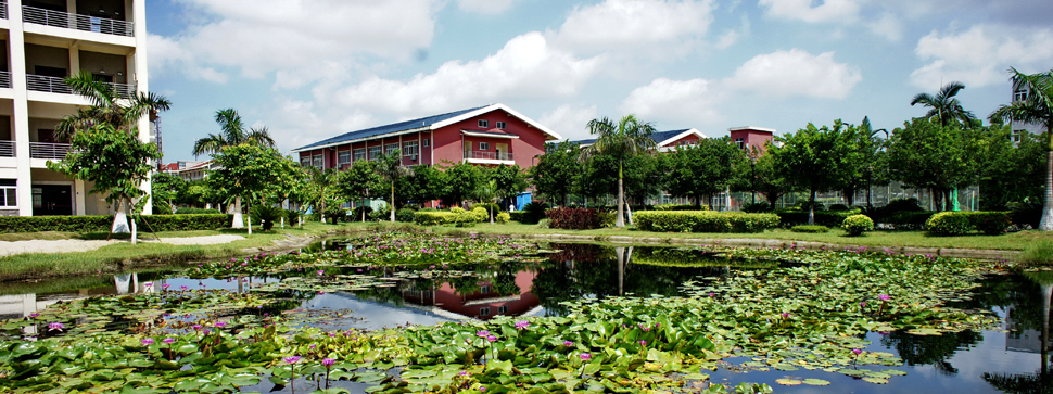 这两所高校，将合并转设！
