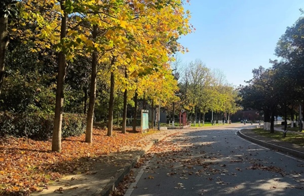 一键解锁南京交通职业技术学院初冬“多巴胺”校园！2.webp_副本.jpg