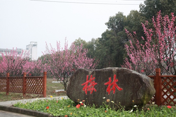 无锡商业职业技术学院：校园文化特色景点，点亮学府风采12_副本.jpg