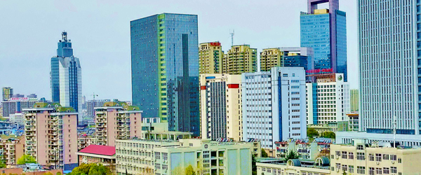 这所省属重点大学，将停招11个专业！