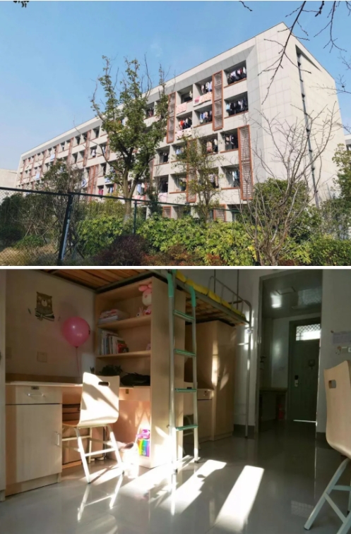 泰职院3.png