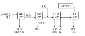 高中生学习.webp.jpg