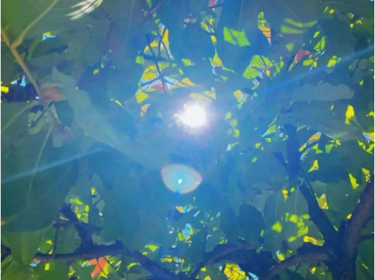 透过“缝隙”，看美好的苏卫校园生活3.png
