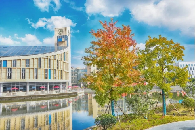 你理想中的大学，是怎样的？苏卫告诉你答案！