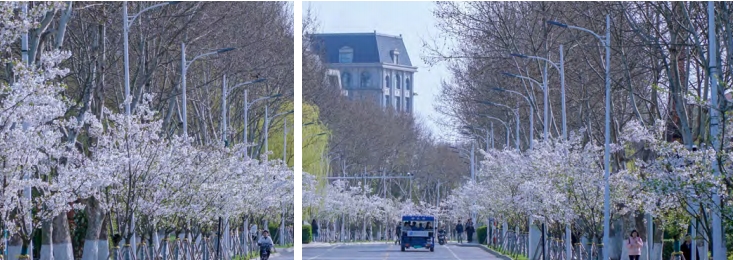 2025年南京信息工程大学2+2国际本科项目招生简章6.png