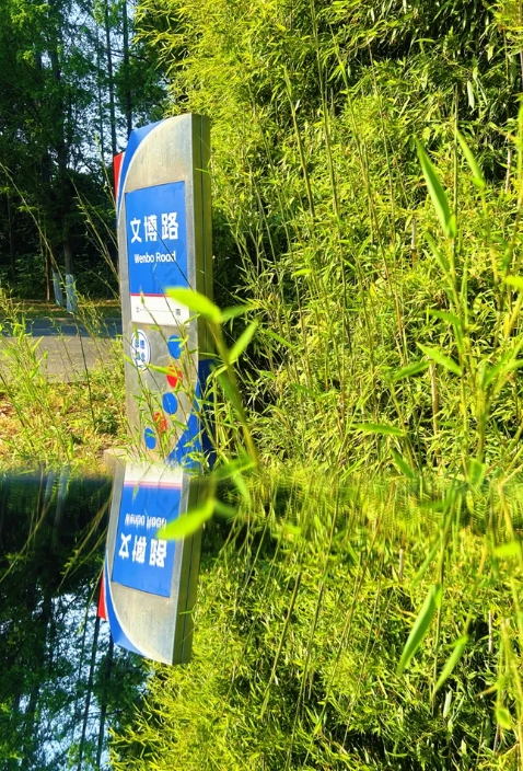 常信校园街拍：春深半夏，五月你好！11.png