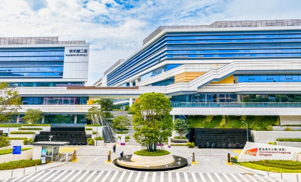 香港城市大学（东莞）2025年夏季高考招生章程