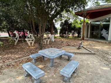 东南大学成贤学院校园打卡，看你更pick哪种！13.png