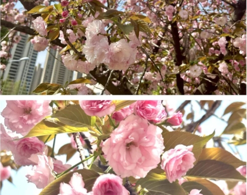成贤进入“花花世界”3.png