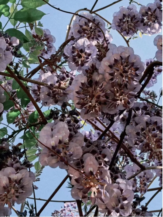 成贤进入“花花世界”5.png