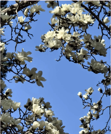 成贤进入“花花世界”6.png