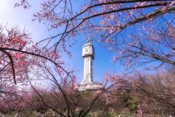 14281人！南京工业大学2025年综合评价初审名单公布