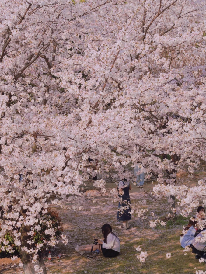 夏日商院，每一步都算“树”！4.png